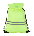 Carrylight