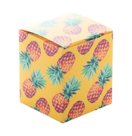CreaBox PB-071