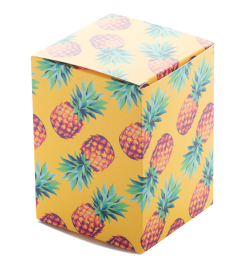 CreaBox PB-098
