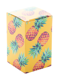 CreaBox PB-037