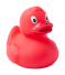 Squack