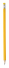 Concil