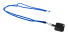 Corphon